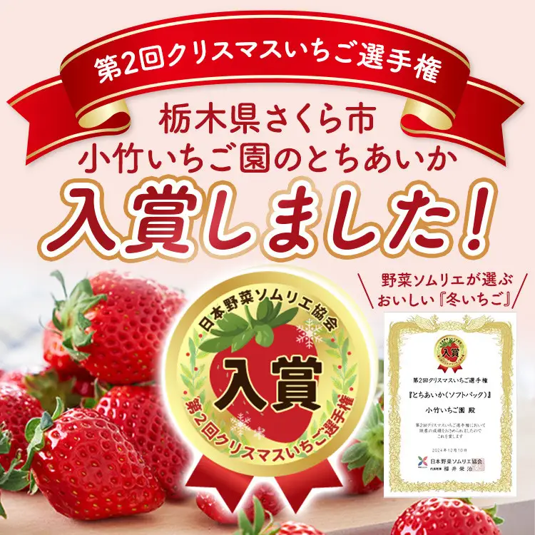 【先行予約】いちご とちあいか・スカイベリーセット 270g×2パック（540g）｜いちご イチゴ 苺 先行予約 栃木県 果物 くだもの フルーツ とちあいか スカイベリー 新鮮 贈答 ギフト 高級 食べ比べ ※2027年1月～発送