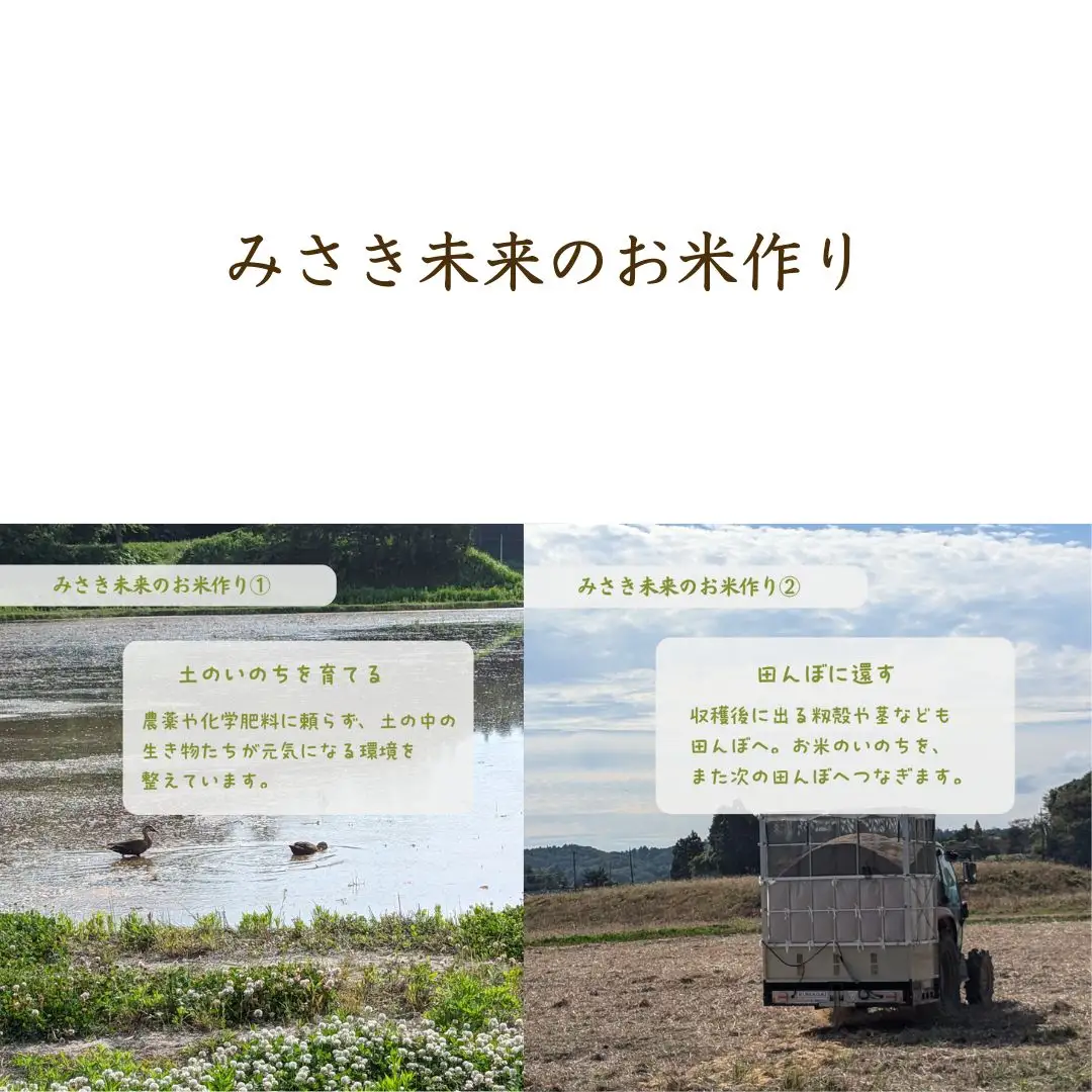 【先行予約】【9か月定期便】有機JAS米 にじのきらめき 玄米 90kg (10kg×9回) 令和8年産 | 南相馬市 みさき未来