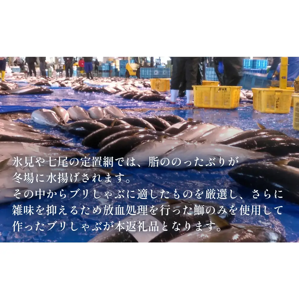 ＜先行予約＞＜26年産新物＞氷見漁港でとれた天然寒ぶりしゃぶ120g　2個 ＜2026年12月中旬以降順次発送＞  富山県 氷見市 鰤 しゃぶしゃぶ 冷凍 鍋