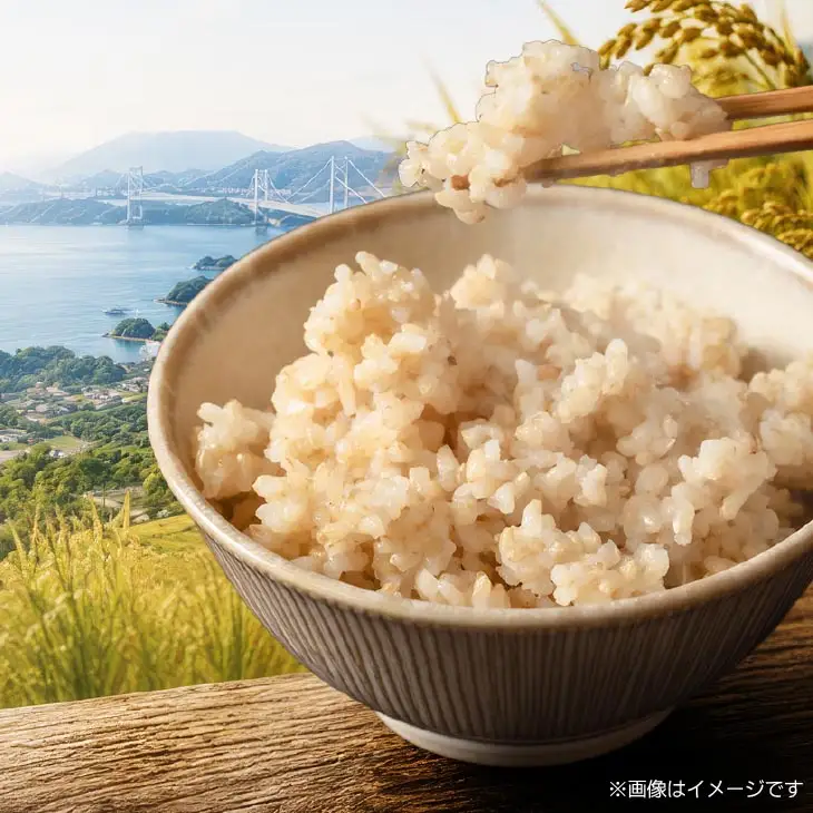 【定期便】令和8年産米　淡路島産キヌヒカリ　玄米5kg《6回コース》