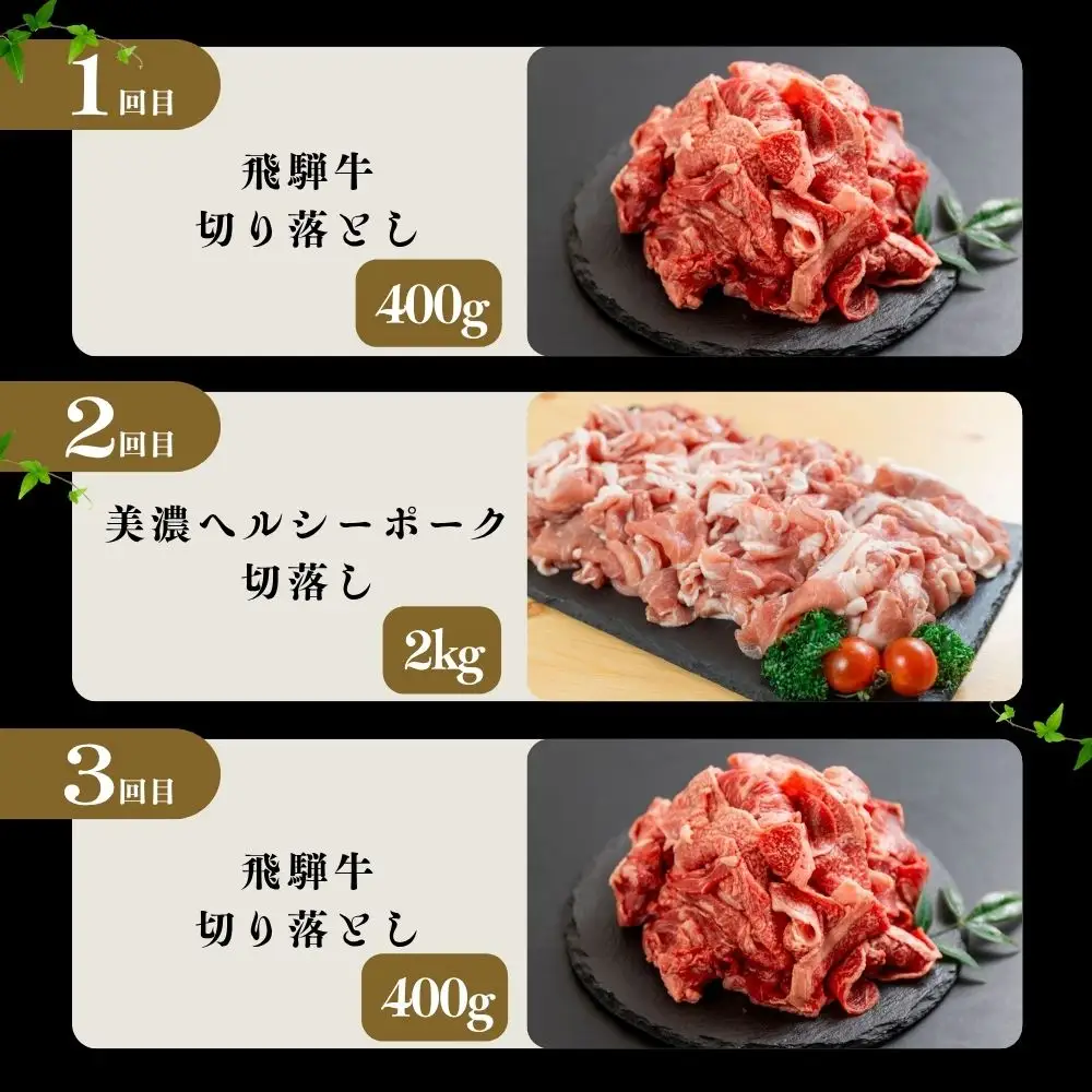 【定期便】飛騨牛 豚 切り落とし 定期便 全3回 | 本巣市 トキノ屋 食品