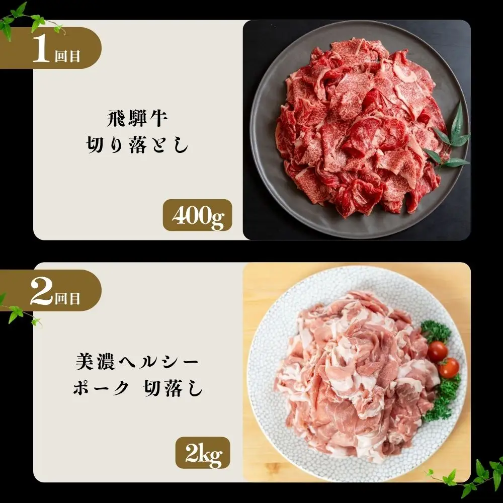 【定期便】飛騨牛 豚 切り落とし 定期便 全5回 | 本巣市 トキノ屋 食品