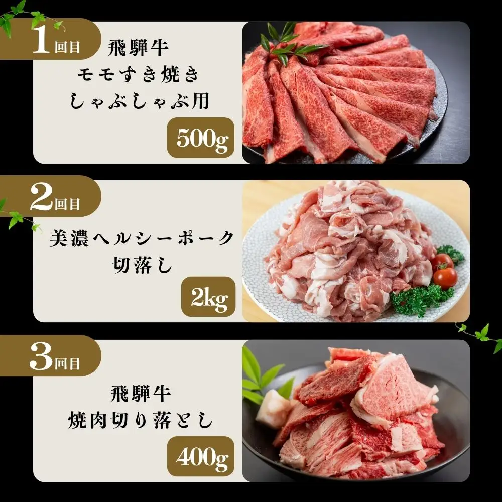 【定期便】飛騨牛 ・ 豚 づくし 定期便 全3回 | 本巣市 トキノ屋 食品