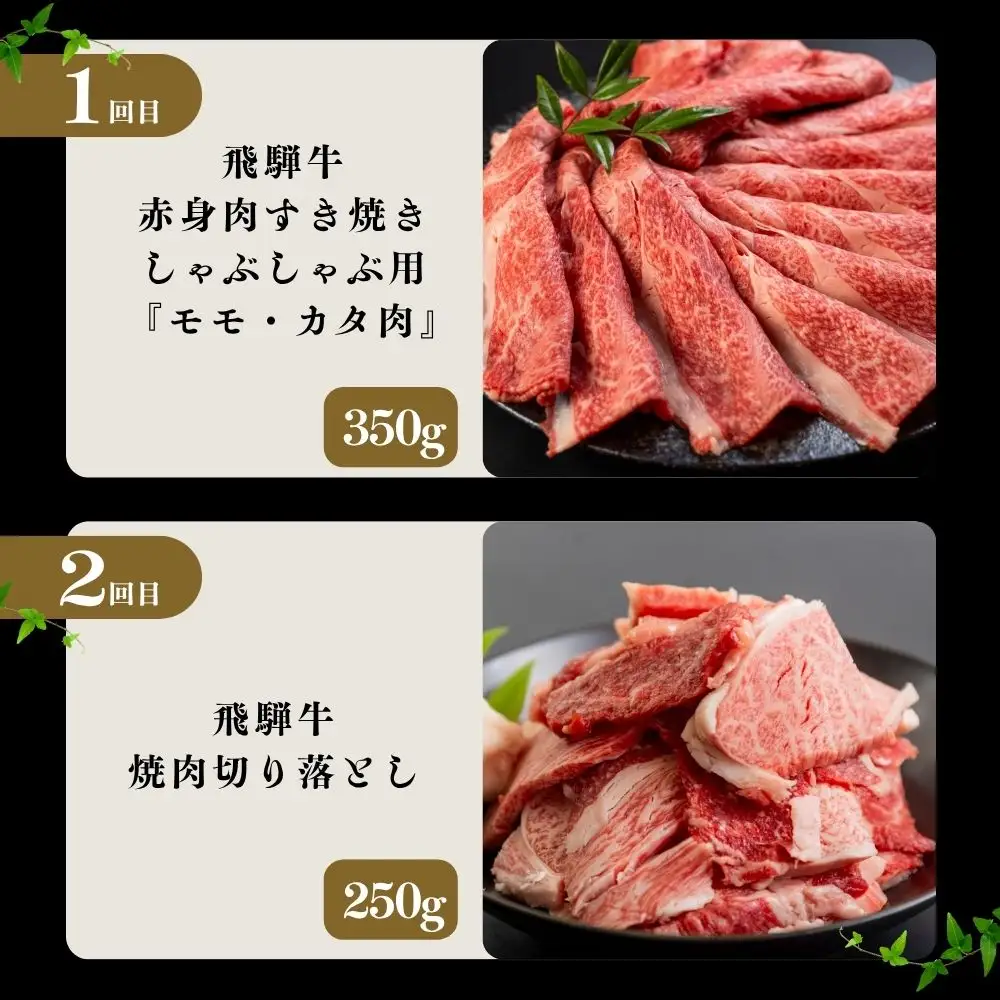 【定期便】飛騨牛 ・ 豚 づくし 定期便 全5回 | 本巣市 トキノ屋 食品