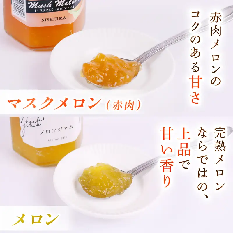 西島園芸団地の特製ジャム 6種セット 【フルーツ】 メロン スイカ トマト ブルーベリー いちご