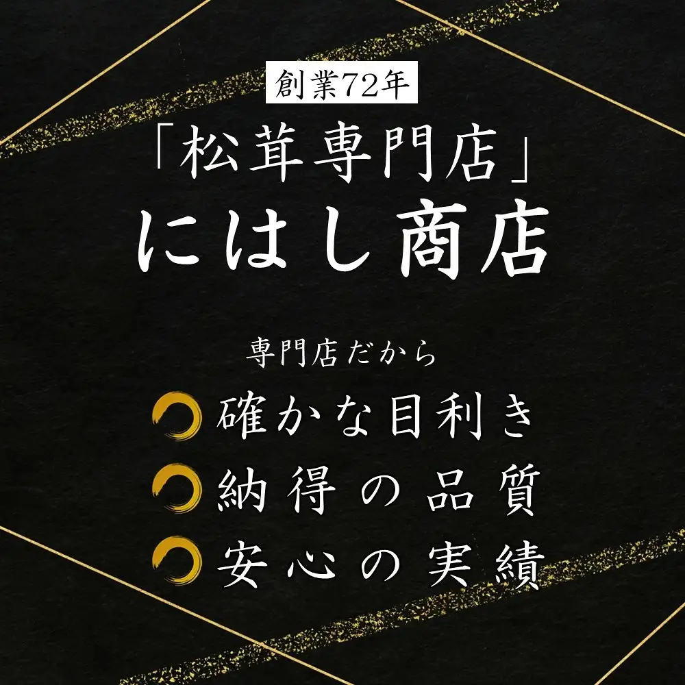 松茸 久慈産天然松茸 選別 300g