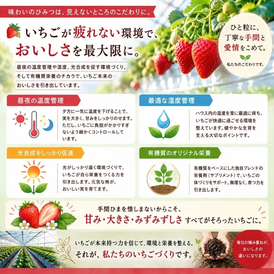 【先行予約_2027年発送】地元JA品評会金賞受賞　冷凍イチゴ5Kg　【 フローズン ストロベリー スムージー 苺 いちご  】 