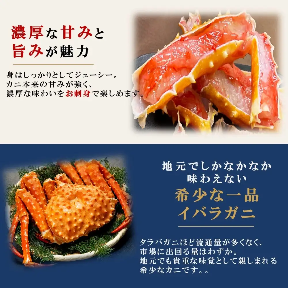 知床羅臼産 イバラガニ刺身
