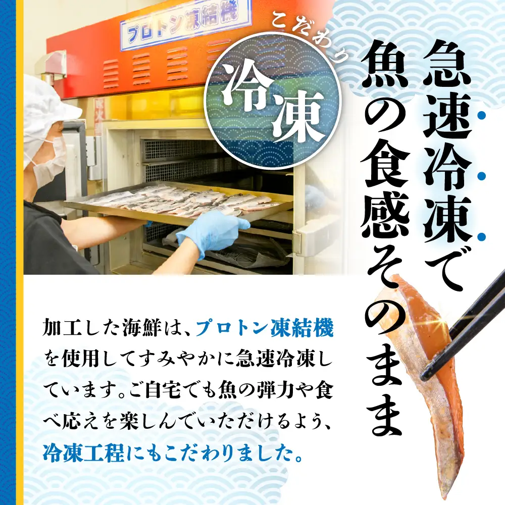6種の厚切り海鮮漬け丼 [魚種おまかせ・レンコ鯛 ・イカ×各2パック]（70g×6パック）【急速冷凍】（プロトン凍結）