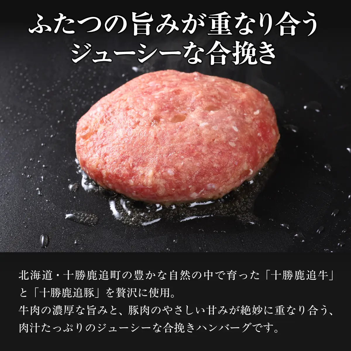 【定期12ヶ月】鹿追産牛豚合挽きハンバーグ　140g ×10個 SKA069-4
