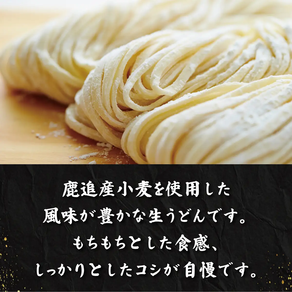 しかおい生うどん 20食セット（2人前×10袋） SKA078