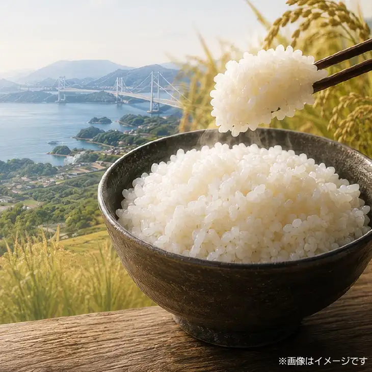 【定期便】令和8年産米　淡路島産キヌヒカリ　白米10kg《6回コース》