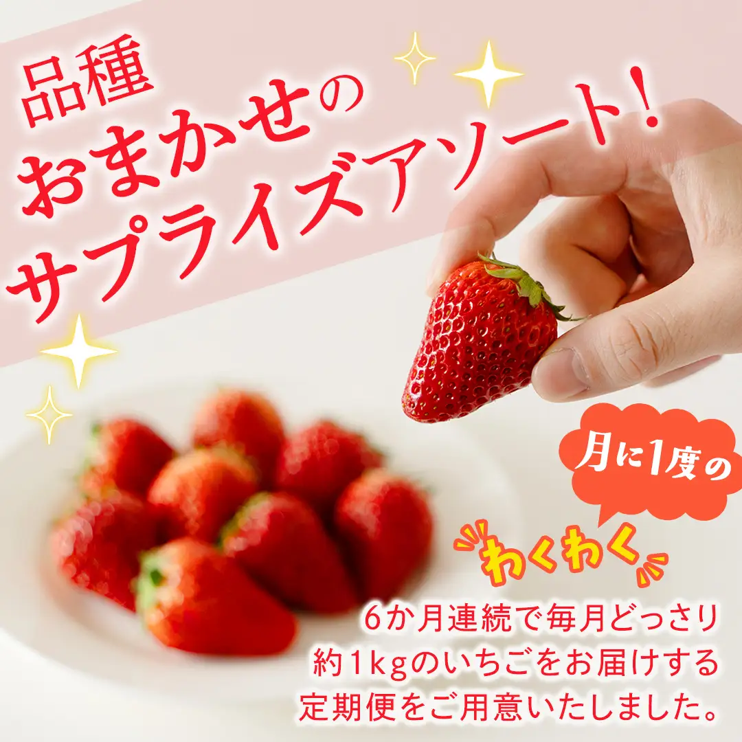 【定期便】旬ないちご品種おまかせ6ヶ月連続お届け便 （約250g×4パック）×6回【2026年12月から発送開始】（茨城県共通返礼品 [いちご]：城里町産） 果物 くだもの フルーツ イチゴ 苺 旬 品種おまかせ 人気