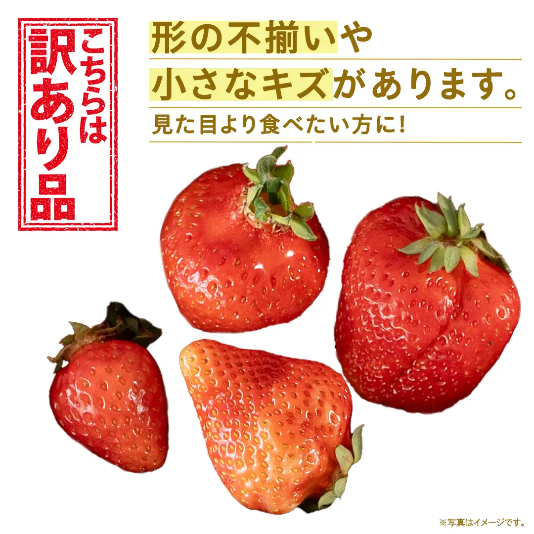 ＜ 訳あり ＞いちご 約1kg【2027年1月から発送開始】（茨城県共通返礼品 [いちご]：城里町産）いちご イチゴ 苺 訳あり 不揃い 家庭用 大容量 お得 ふるさと納税