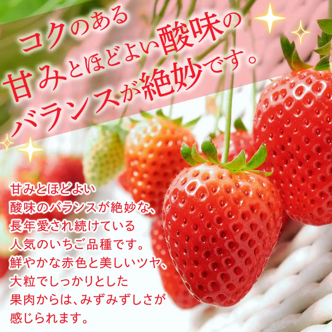【定期便】とちおとめ 約250g（15～18粒）×2パック 3ヶ月連続お届け便【2026年12月から発送開始】（茨城県共通返礼品 [いちご]：城里町産）