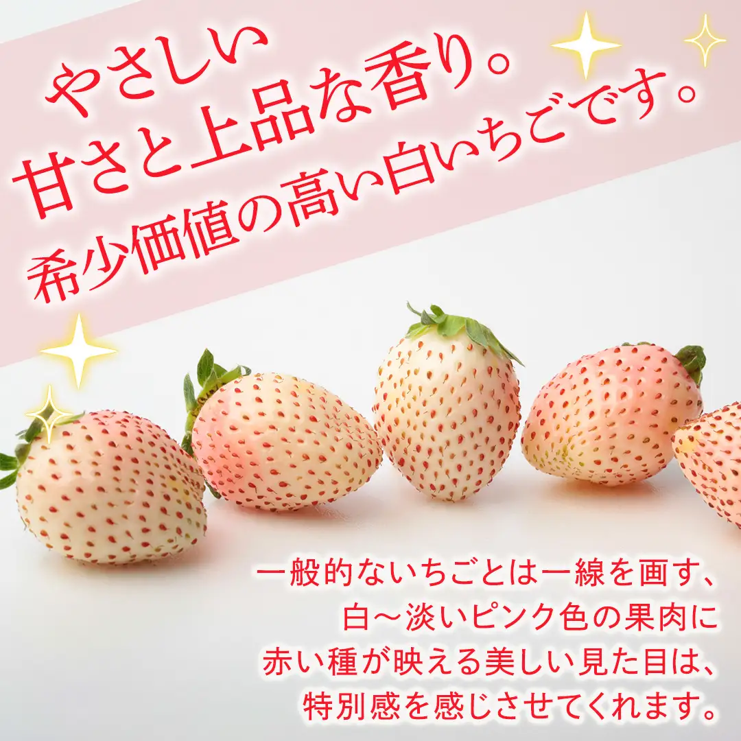 白いちご 約200g（15～18粒）×2パック【2027年1月から発送開始】（茨城県共通返礼品 [いちご]：城里町産）