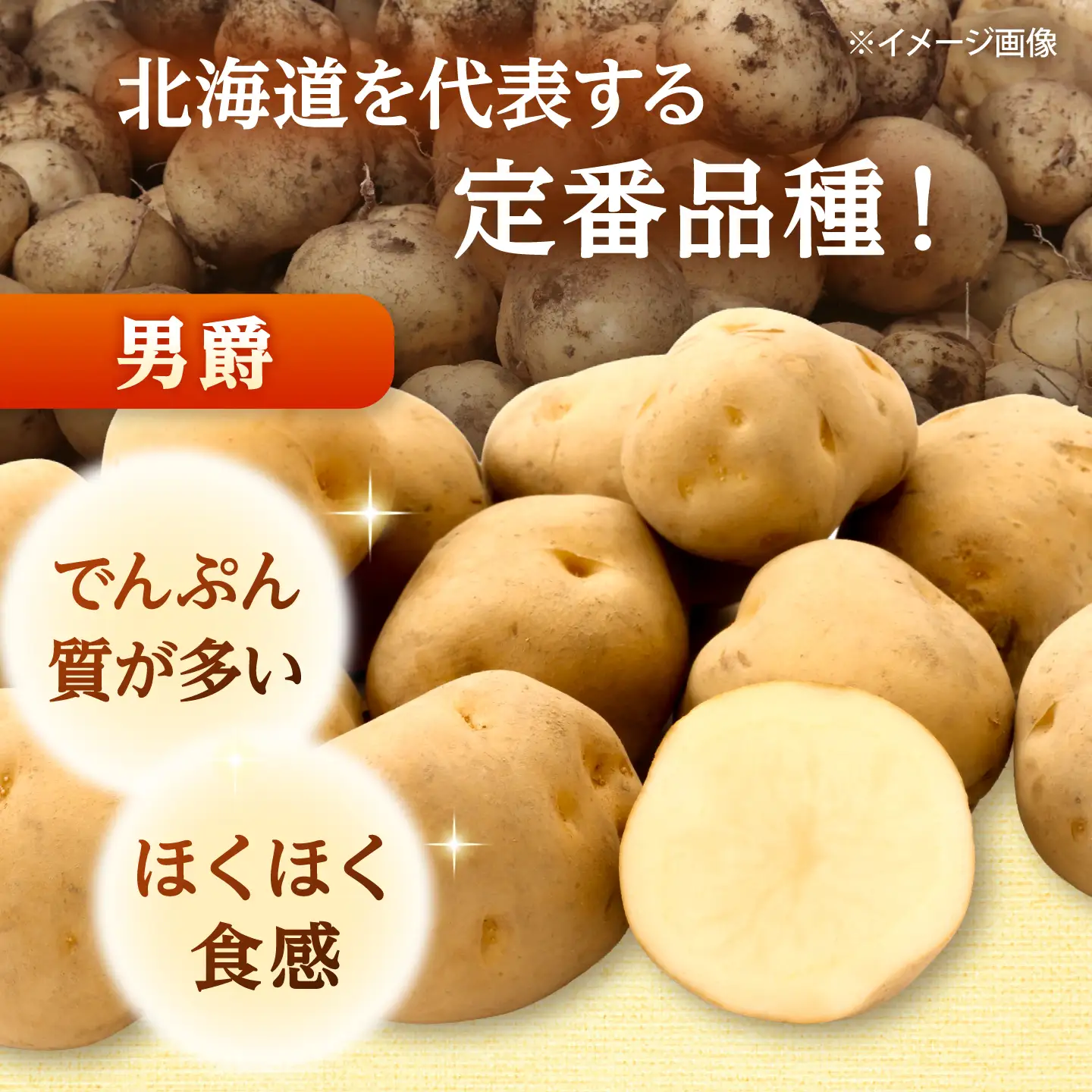 【全3回定期便】【10月-12月発送】 じゃがいも 男爵 5kg [BPAM092] じゃがいも