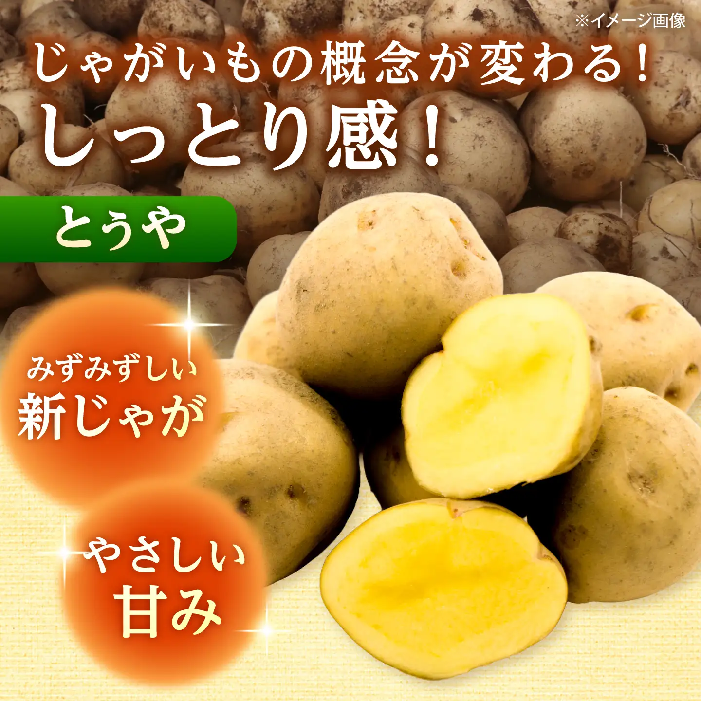 【全3回定期便】【10月-12月発送】じゃがいも とうや 5kg [BPAM095] じゃがいも
