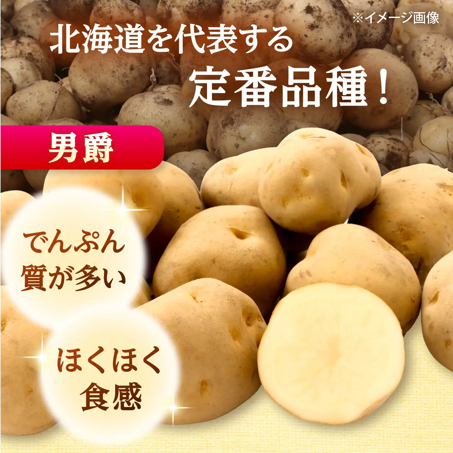 じゃがいも 食べ比べセット（男爵・キタアカリ）計10kg  [BPAM097] じゃがいも