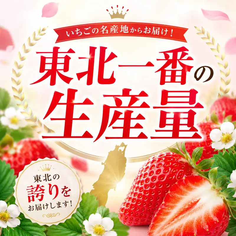 いちご イチゴ 苺 先行予約 12月発送 家庭用 もういっこ 宮城県亘理町産 1500g 250g×6パック 小分け 冷蔵配送 国産 フルーツ 返礼品