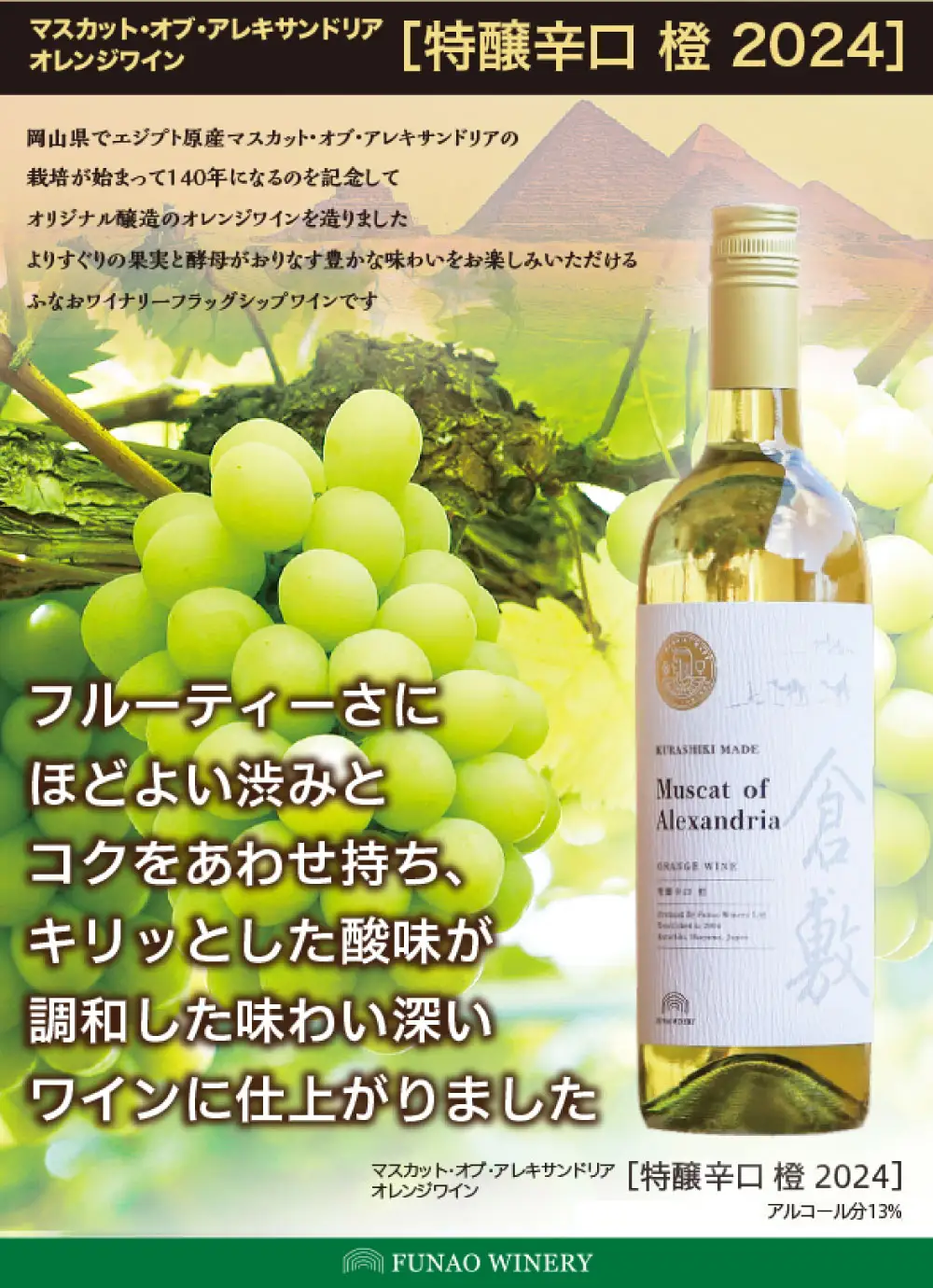 マスカット ・ オブ ・ アレキサンドリア 特醸辛口 橙 2024 750ml × 1本 （ 化粧箱入り ） ワイン 白ワイン 辛口ワイン お酒 酒 さけ アルコール 洋酒 ブドウ酒 ぶどう ブドウ 葡萄 辛口 贈答 プレゼント ギフト