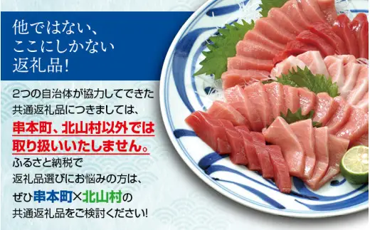 本マグロ 本鮪 トロ 赤身 1kg セット【12月発送】【nks105B-12】