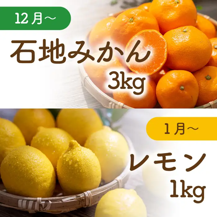 【先行受付】三原の柑橘定期便 全4回 石地 レモン はるみ 不知火 しらぬい デコポン みかん かんきつ フルーツ 果物 産地直送 ジューシー 瀬戸内 広島県三原市 T15