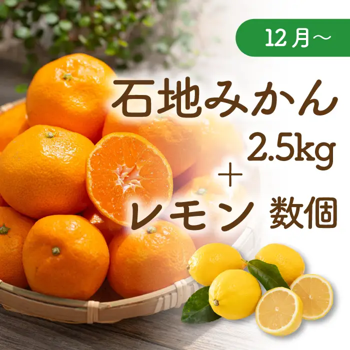 【先行受付】三原の柑橘定期便 全3回 石地 レモン はるみ 不知火 しらぬい デコポン みかん かんきつ フルーツ 果物 産地直送 ジューシー 瀬戸内 広島県三原市 T16