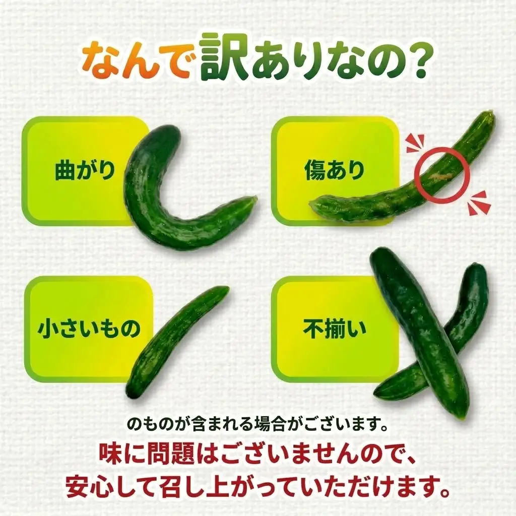 発送中！ 訳あり きゅうり 5kg 野菜 新鮮きゅうり