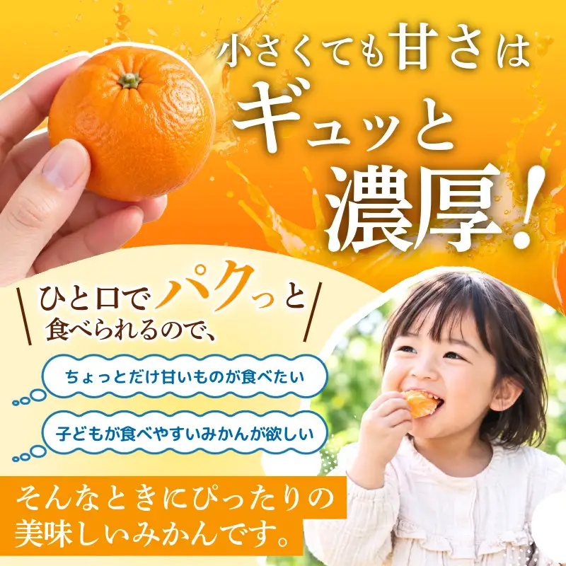 【2026年11月10日から発送】甘さ凝縮！濃蜜小粒 みかん 3kg 2S以下 小玉  小松島市