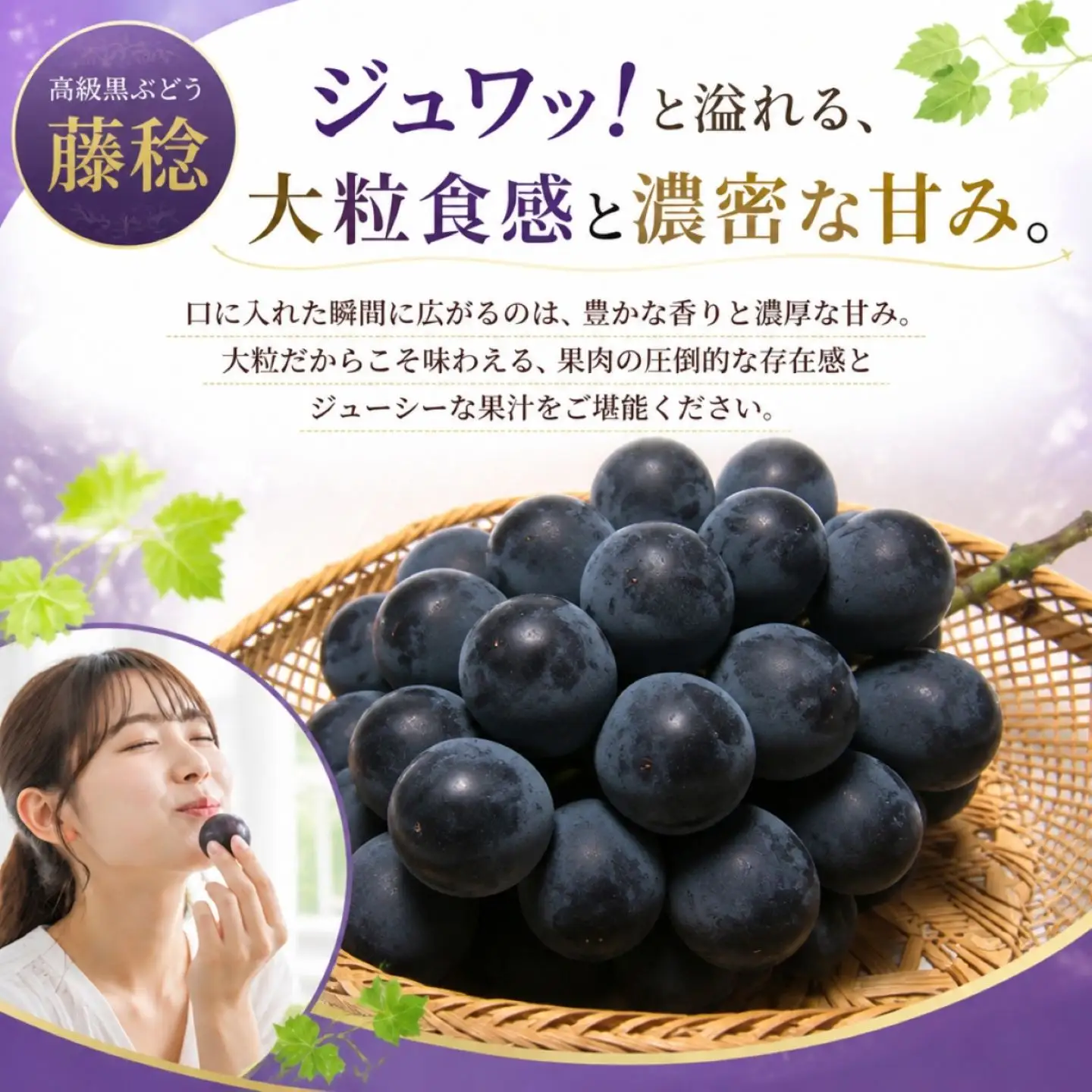 【2027年 先行予約】朝採れ 藤稔 ぶどう ブドウ