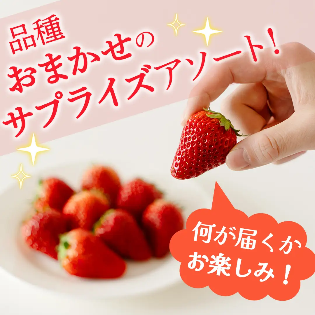 旬ないちご品種おまかせ（約250g×4パック）【2027年1月から発送開始】（茨城県共通返礼品 [いちご]：城里町産） 果物 くだもの フルーツ イチゴ 苺 旬 品種おまかせ 人気