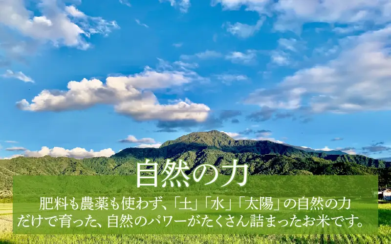【先行予約】【令和8年産】【定期便3回】伊与衛門農園の自然栽培コシヒカリ玄米 5kg×3回 ＜温度と湿度を常時管理し新鮮米を出荷！＞/ 米 自然の力 高品質 鮮度抜群 ブランド米 福井県あわら市産 スマート農業 ※2026年10月下旬以降順次発送 [aw071-e003]