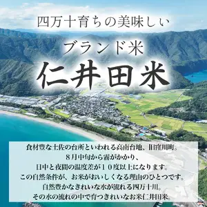 【令和8年産米】四万十育ちの美味しい「仁井田米」 香り米入り（5kg） Bmu-F31 にこまる