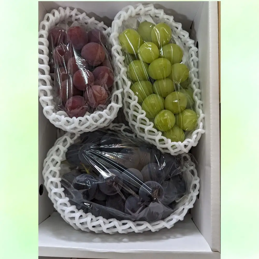 おまかせ ぶどう 詰め合わせ 3種 ～ 4種 食べ比べ セット 約 1.6kg 特