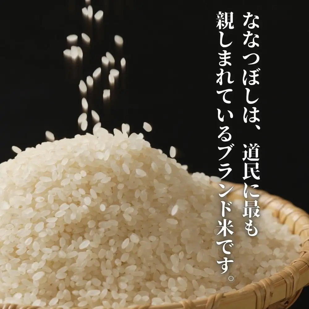新米 ななつぼし 5kg 令和8年産 北海道産 先行予約