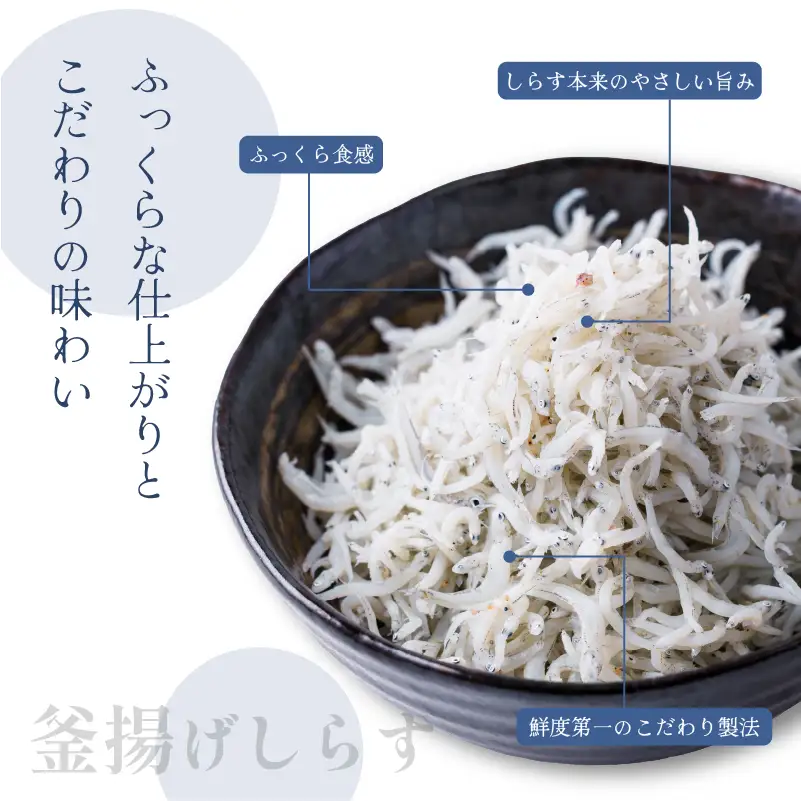 訳あり しらす 1kg 釜揚げしらす しらす干し 愛媛県 松前町 【MYS001】