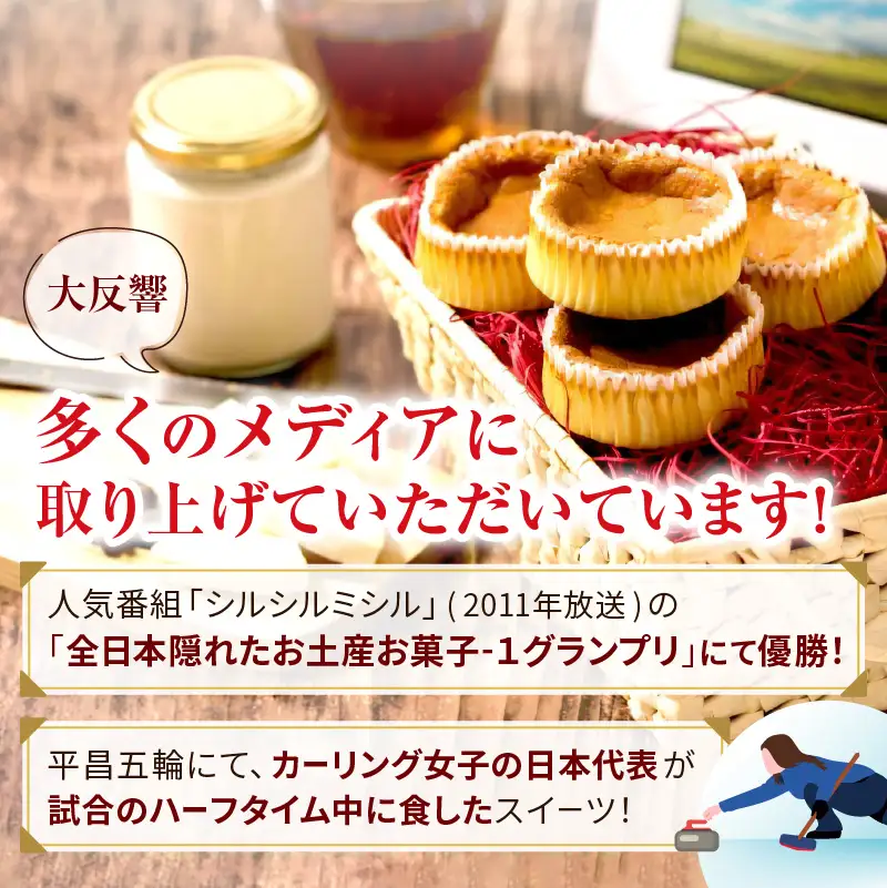 【数量限定】赤いサイロ×新日本プロレス ジェイク・リーver コラボパッケージ 5個×2箱 ( チーズケーキ プロレス 限定パッケージ お菓子 スイーツ 北海道 お土産 お茶菓子 サイロ デザート 人気 小分け 個包装 )【008-0006】