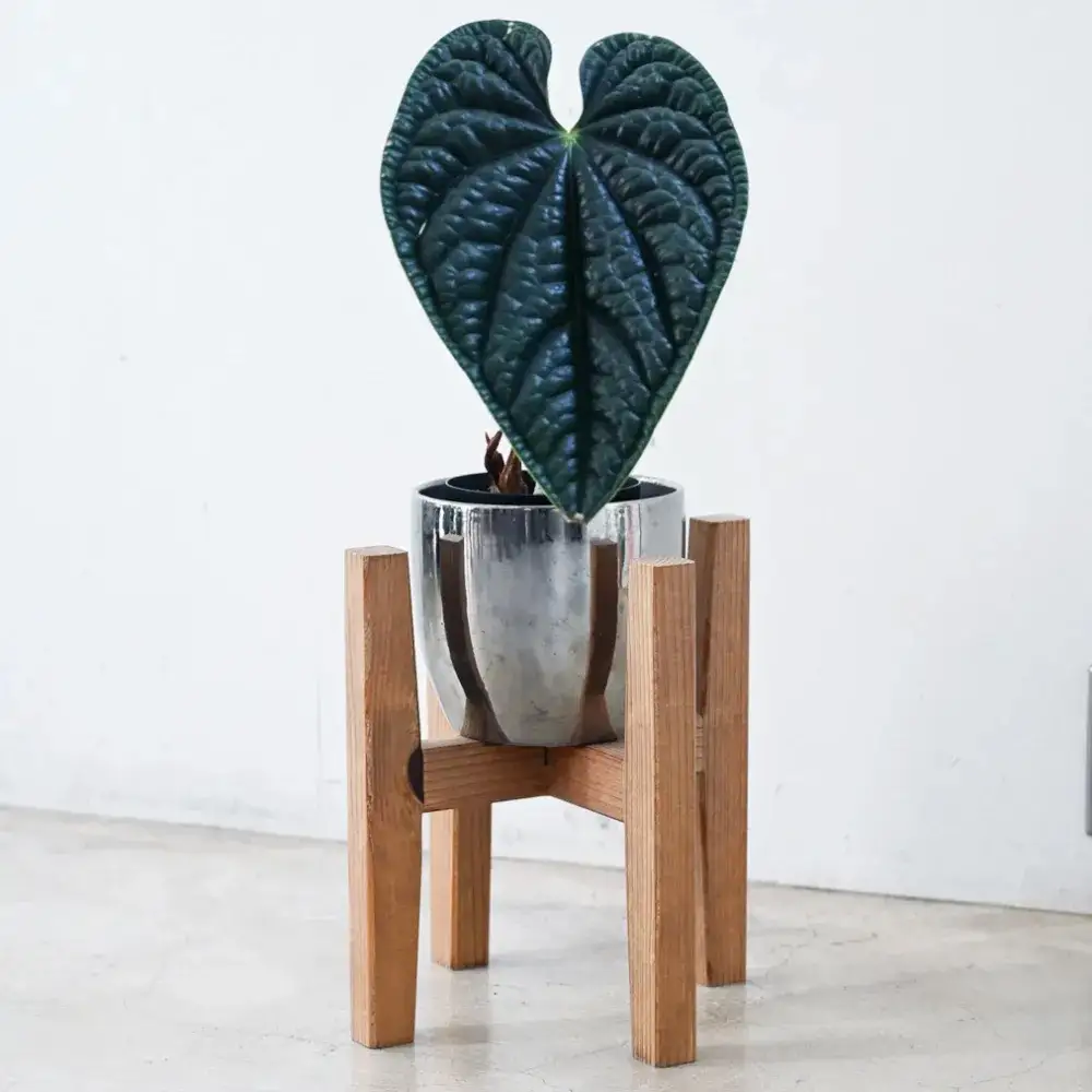 プランタースタンド Sサイズ | 観葉植物 プランター 花台 インテリア 無垢材 木製 オシャレ おしゃれ