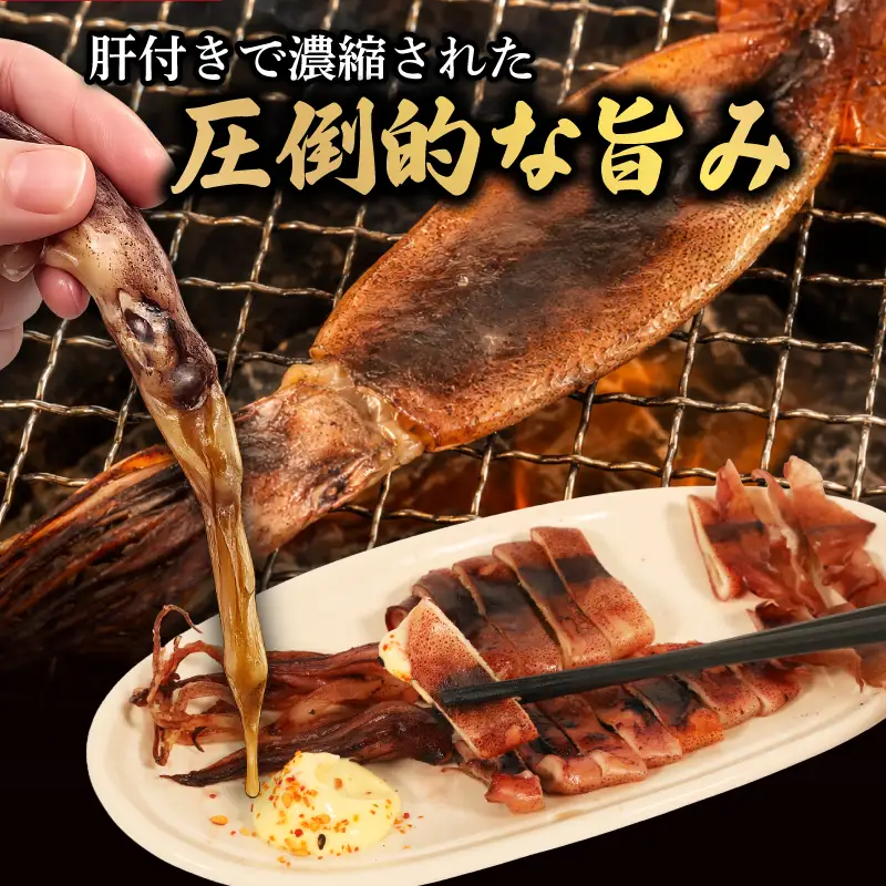 イカの干物 冷凍 南伊勢町産 干物 丸干し スルメイカ