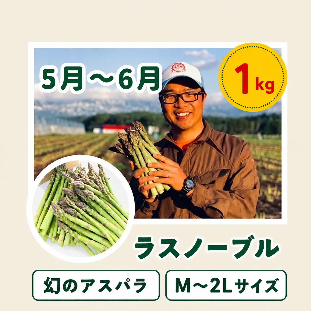野菜 定期便 3回 【令和9年産予約受付】 美瑛の四季 百合（小） ふるなび限定 野菜 セット