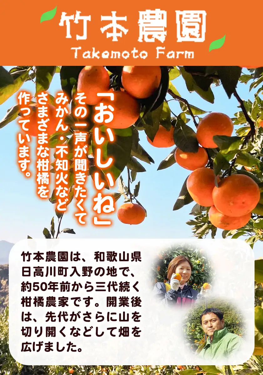 レモンとライム 詰め合わせ 約2kg レモン ライム