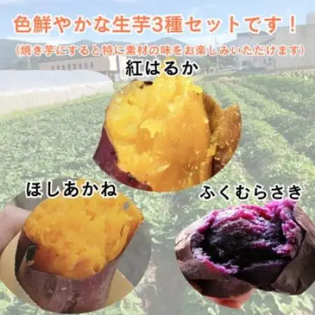 【先行受付】11月上旬以降順次発送 訳あり 京の蜜芋 生芋3種 食べ比べセット 約2.5kg 土付き【1780279】