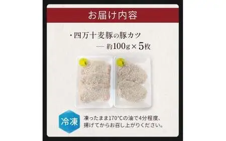 四万十麦豚 豚カツ （約100g×5枚）麦豚 トンカツ 冷凍 背ロース Ahc-A17