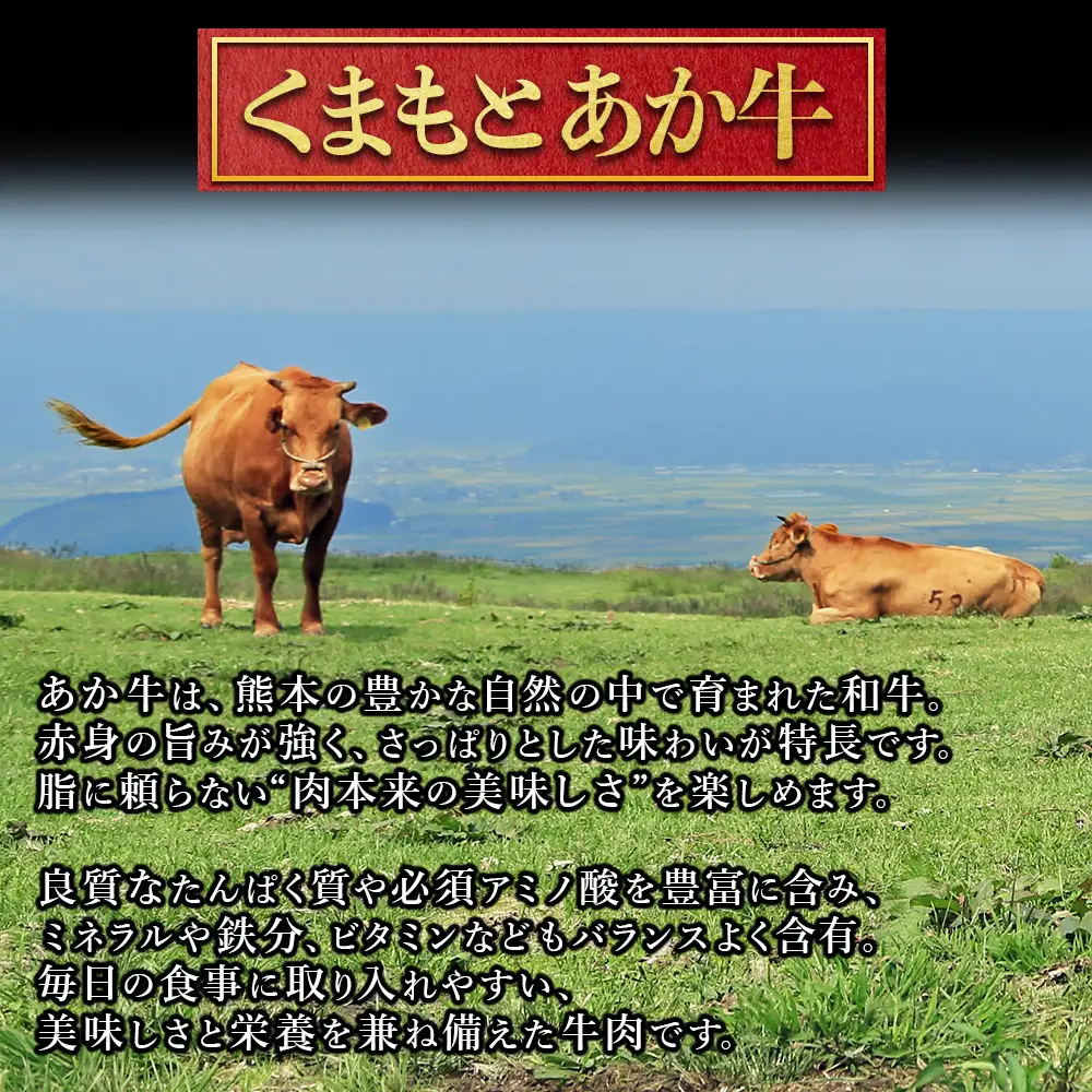 くまもとあか牛 サーロインステーキ 500g (250g×2)