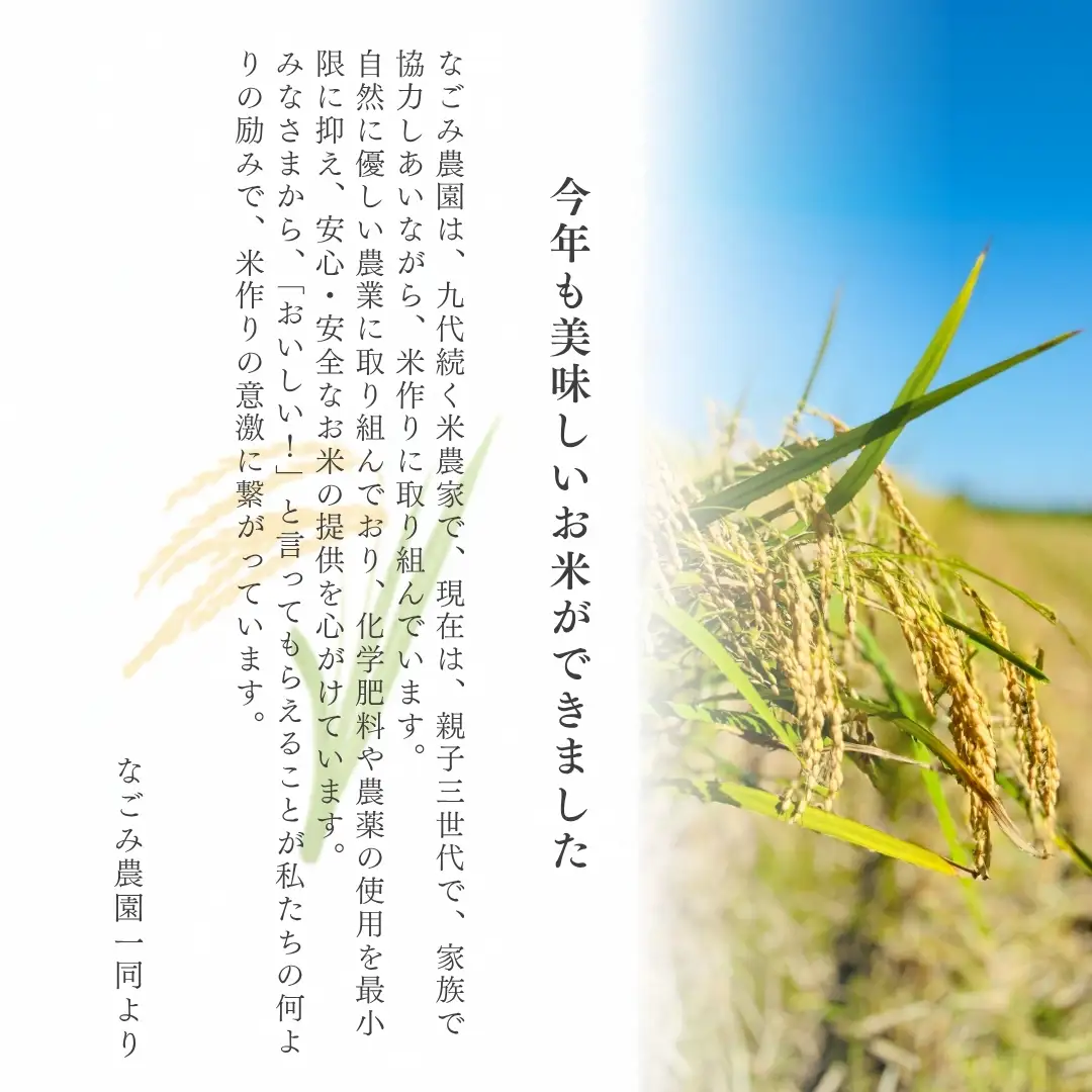 【3回定期便】コシヒカリ 5kg なごみ農園 新潟｜コシヒカリ こしひかり