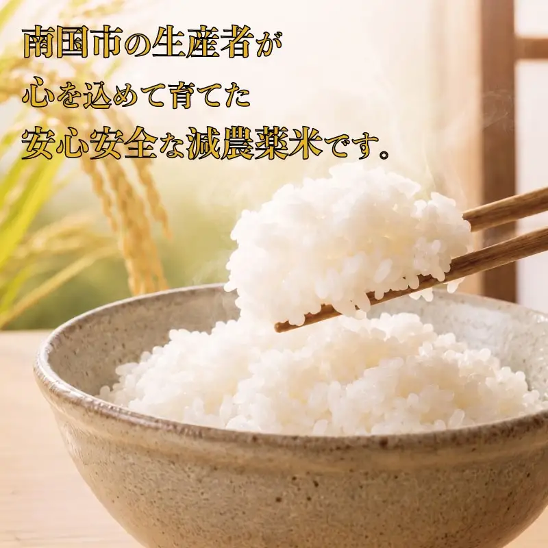 【令和8年 南国市産】 白米 10kg コシヒカリ 精米 6回定期便