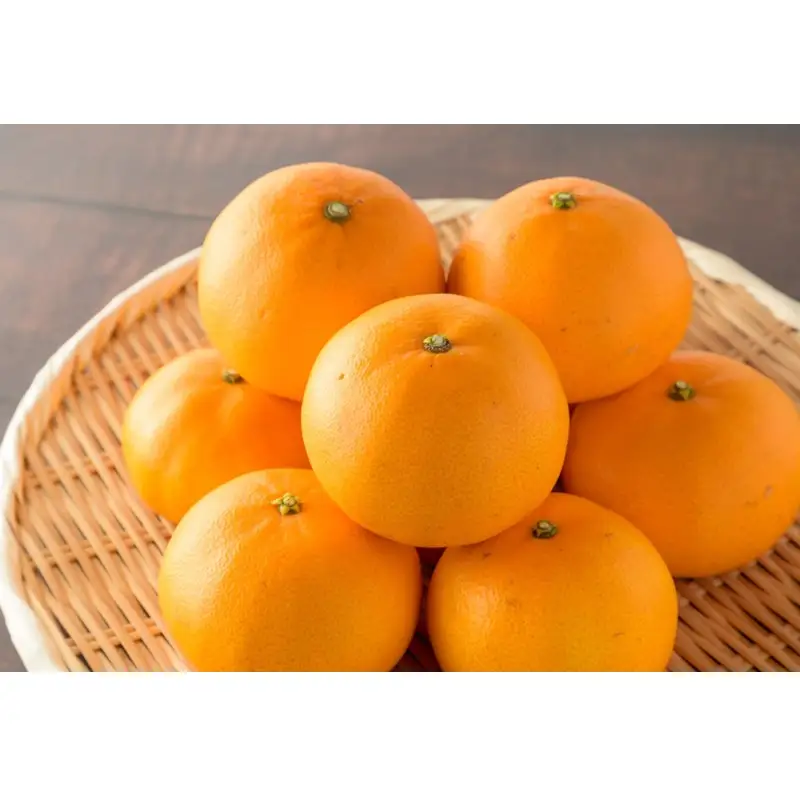 せとか3kg【家庭用】≪先行予約≫2027年2月頃より順次発送予定【1379】