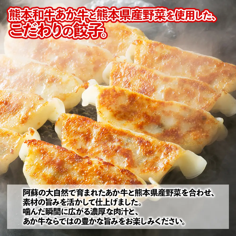 選べる内容量 熊本和牛 あか牛 餃子 【40個】