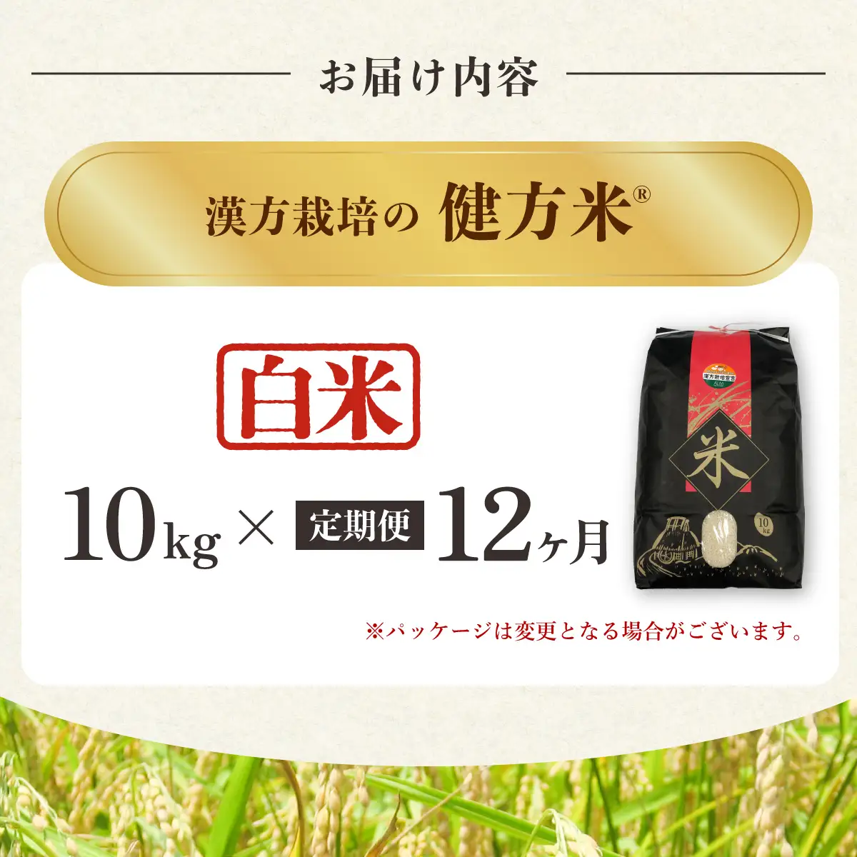【定期便】新米 白米 10kg×12回（合計120kg） 健方米 アキサカリ 漢方栽培